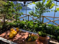 Villa paradiso - Chambres d’hôtes Positano