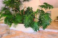 Comfort Zone beach apartment - B&B Quarteira