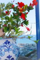 Blue Castle - Bed and Breakfast Salerno
