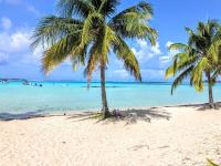 MOOREA - Tropical Soul - B&B Hauru