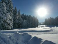 Apartment mit 2 Schlafzimmern