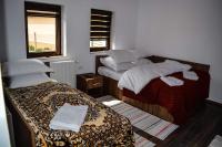 Bustea 2 - Ferienwohnung Hărțăgani