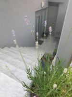 Appartamento con 4 Camere da Letto