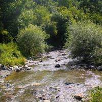 Spitak Tun - B&B Ijevan