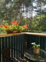 Miško studija - B&B