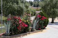 Mythos Bungalows - B&B