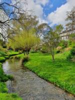 Wandering Trout - Ferienwohnung Mole Creek