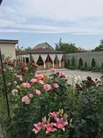 Гостевой Дом ,Breeze - Bed and Breakfast Chornomors’k
