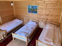 Basic Triple Room