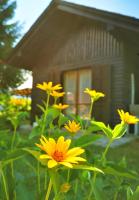 MERIKOTKA - a cozy wooden cottage, sLOVEnia - Chambres d’hôtes Braslovce