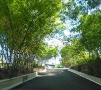 Irresistible View-Mobay Club 1408 - B&B Montego Bay