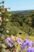 Vita Natura with sauna and jacuzzi - Ferienwohnung Pihovec