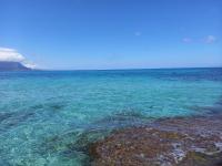 Le notti di Nettuno a Isola Delle Femmine - Chambres d'hôtes Isola delle Femmine