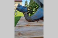 Tiny Loft (Haus) im Südhessischen Ried - Ferienwohnung Trebur