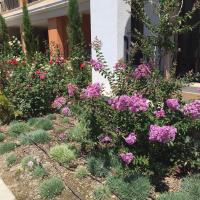 Prestige Fort Beach Private Apartment-Studio 46 - Chambres d’hôtes Sveti Vlas