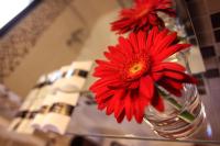 Appartamento Superior