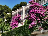 Studio Double Deluxe