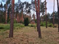 Pod Czarnym Dzięciołem - dom z widokiem i prywatną balią - Chambres d’hôtes Mazówki