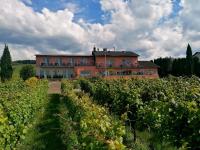 B&B Brauneberg - Weingut Tiliahof - Bed and Breakfast Brauneberg