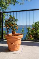 Apartment Lea - B&B Stanići