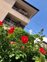 Apartments Zafira - Bed and Breakfast
