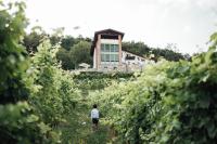 Polisena L'Altro Agriturismo Veg - B&B Pontida