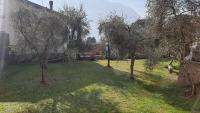 Appartamento Le Rose - B&B Ossuccio