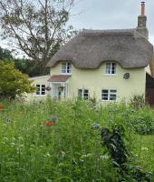 B&B Moreton - Primrose Cottage - Bed and Breakfast Moreton