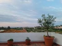 Amb encant i estil Mediterrani en zona tranquilla de Llançà i amb terrassa - Chambres d'hôtes Llançà