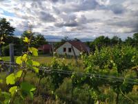 Kateřinský sklípek - B&B Znojmo