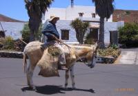 B&B Guatiza - Finca Lanzarosy - Bed and Breakfast Guatiza