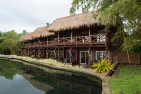 Suite Treehouse