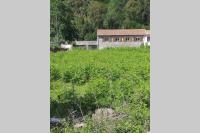 Maison F4 bord de rivière dans un hameau du village de Pruno en Haute Corse Dix min de la plage à Folelli - Ferienwohnung Pruno
