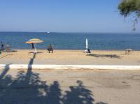 Paradise Blue - B&B