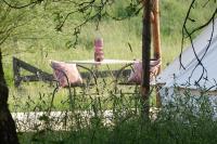 Glamping du Moulin - B&B Bastogne