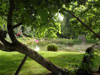 Suite met Toegang tot de Spa