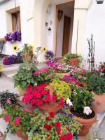 B&B Innsbruck - Ferienwohnung Spitzmandl - Bed and Breakfast Innsbruck