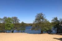 Ferienwohnung Green Garden Berlin - Ferienwohnung Berlin