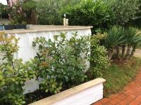 Apartman Patrick - B&B