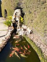 Guest House Família - B&B Campos do Jordão