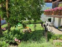 Chalet Schneevogul - B&B Grächen