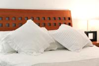 Suite 1-B El Rincón Garden House, Welcome To San Angel - Ferienwohnung