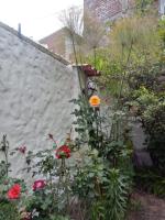 Samadri - B&B Arequipa