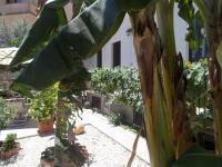 Villa Il Melograno - Chambres d’hôtes Taormina