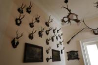 Historické apartmány Zelenohorská pošta - B&B Nepomuk