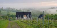 Utopia Dom przy winnicy - B&B