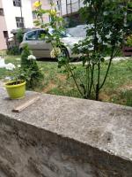 Doppelzimmer mit Gartenblick