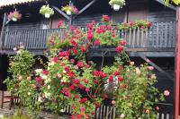 C Dor de Vama Bedrooms - B&B Vama Veche