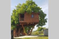 B&B Torino di Sangro - Casa sull'Albero Treehouse Costa dei Trabocchi - Bed and Breakfast Torino di Sangro