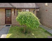 Grace Apartments - Living Stream 1 - B&B
